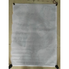 作假武藏大学毕业证